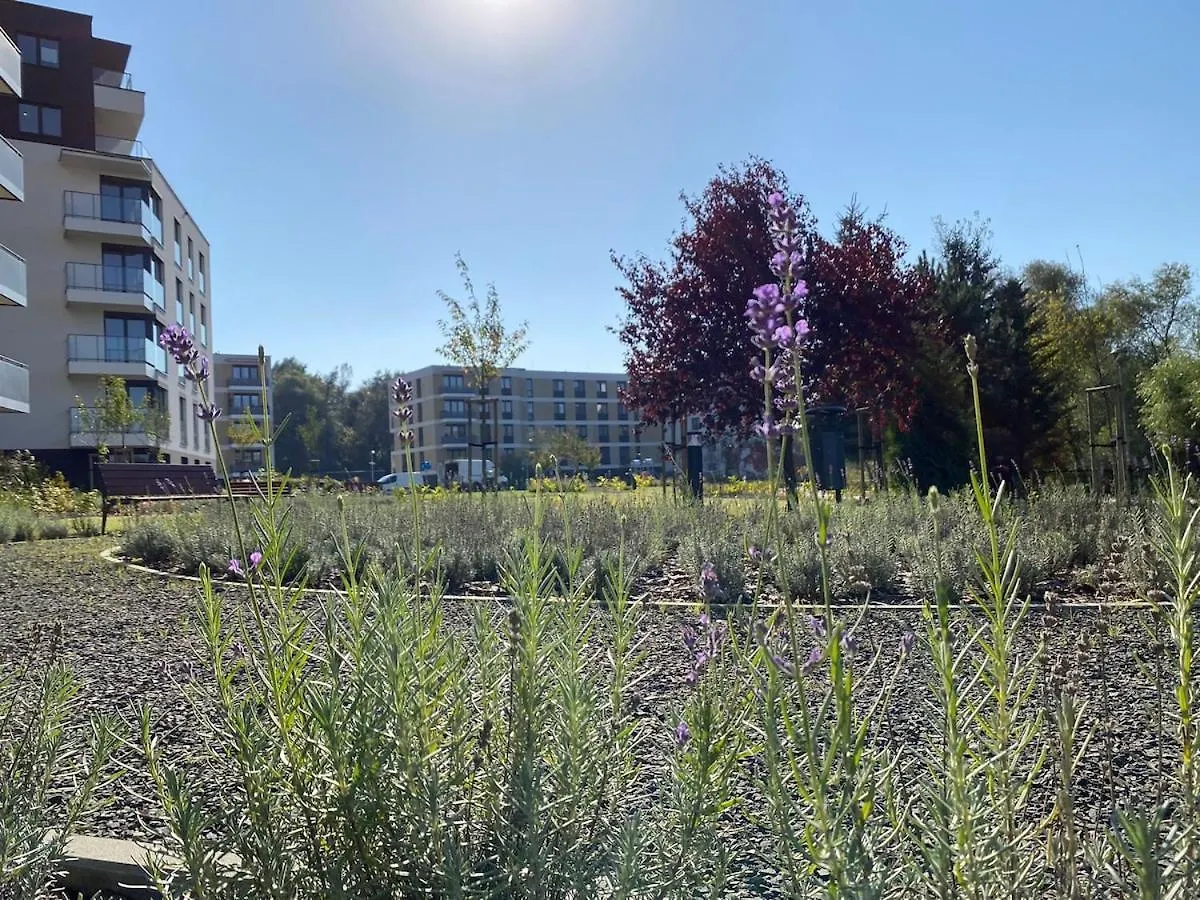 Siesta Forest Apartment Relaxing Park Cracovia